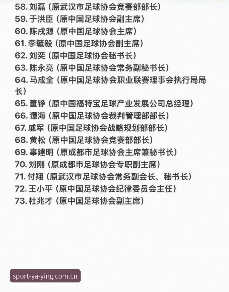 中国足协第三批禁足名单深度评测：从17人终身禁赛看足球反腐风暴的全面升级